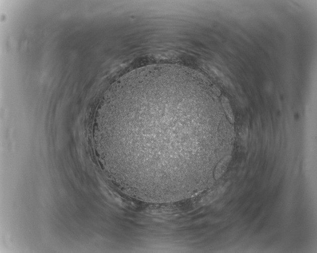 X0000087600817200705041532