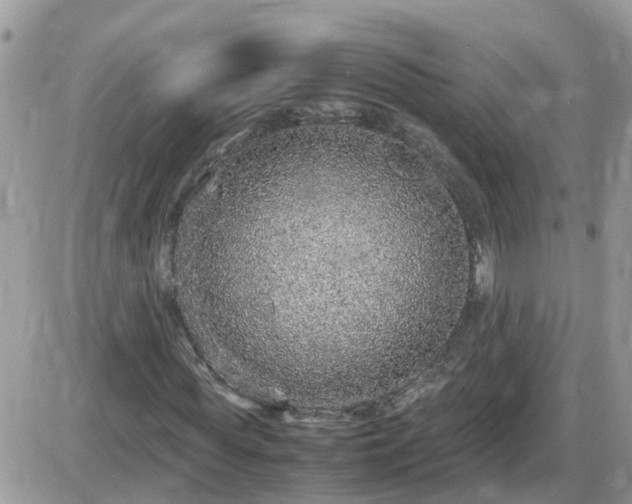 X0000087600819200705041532