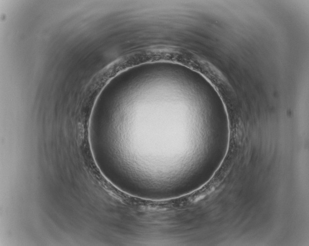 X0000087600821200705041532