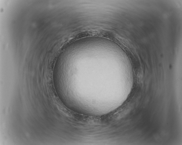 X0000087600865200705041532