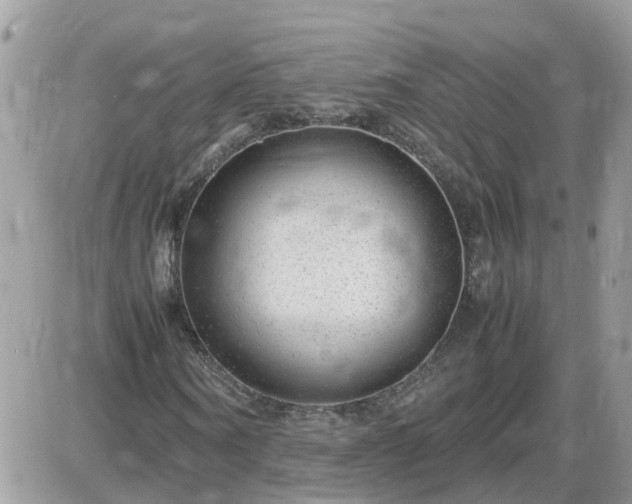 X0000087600866200705041532