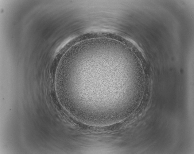 X0000087600871200705041531