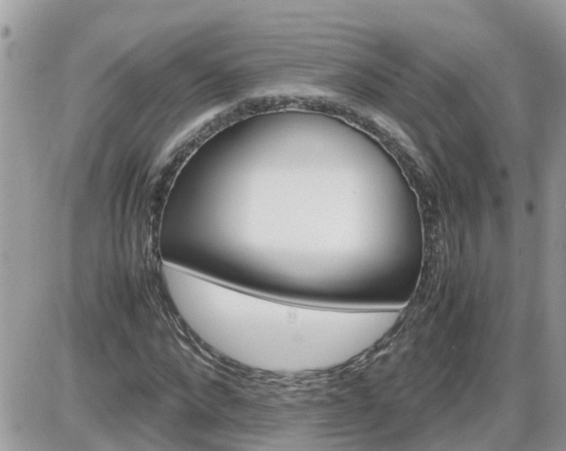X0000087600872200705041531