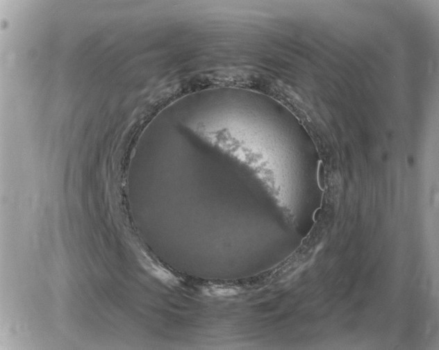 X0000087600913200705041530