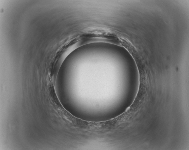 X0000087600965200705041530