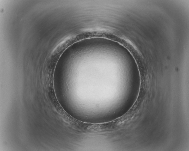 X0000087600967200705041530