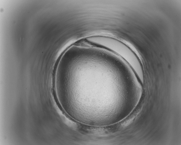 X0000087600999200705041529