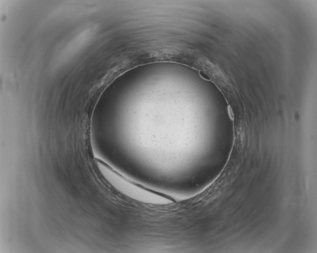 X0000087601012200705041528