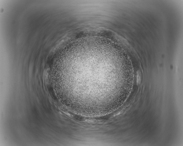 X0000087601059200705041528