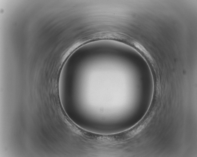 X0000087601089200705041528