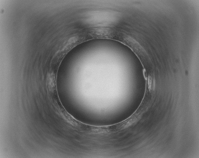 X0000087601107200705041527