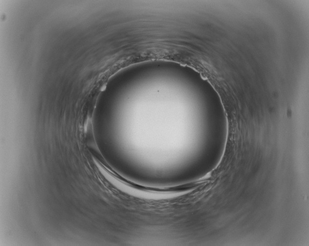 X0000087601109200705041527