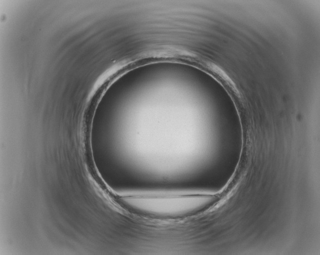 X0000087601122200705041527