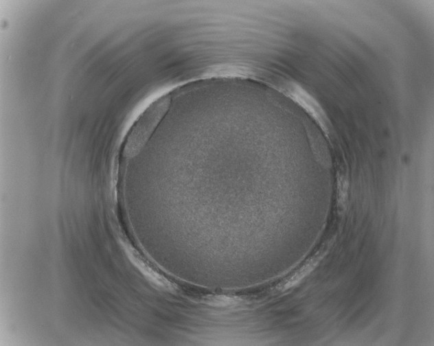 X0000087601124200705041527