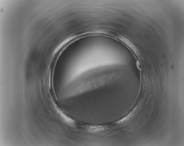 X0000087601127200705041527