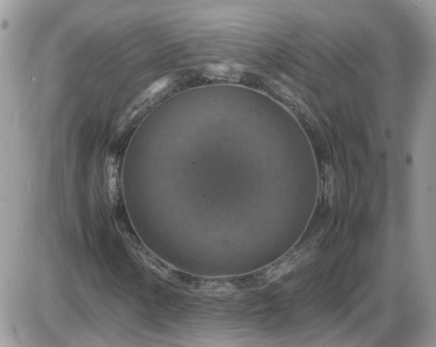 X0000087601154200705041527