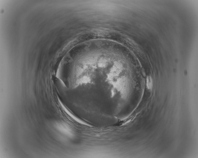X0000087601155200705041527