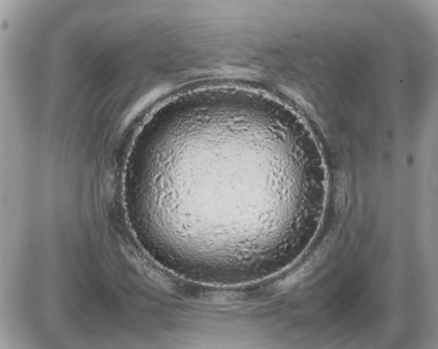 X0000087601163200705041527
