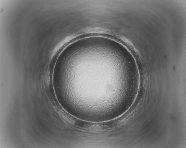 X0000087601167200705041527