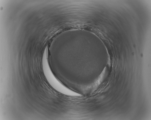 X0000087601202200705041525