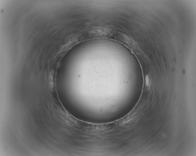 X0000087601203200705041525