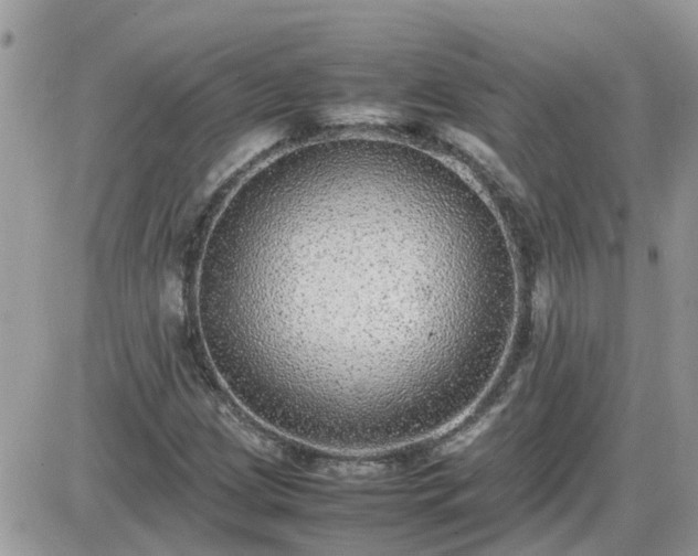 X0000087601209200705041525