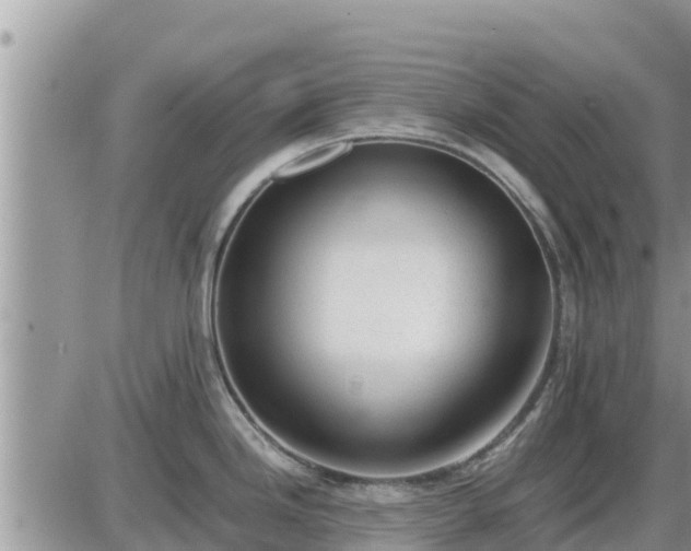 X0000087601246200705041526