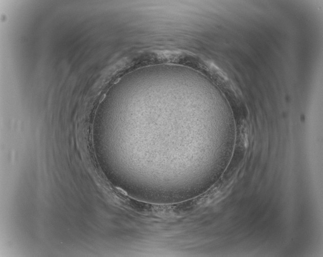 X0000087601249200705041525