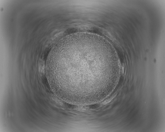 X0000087601251200705041525