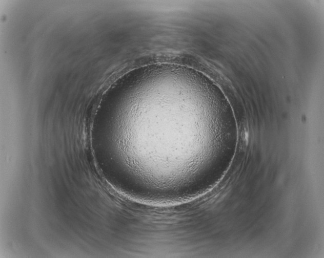 X0000087601252200705041525