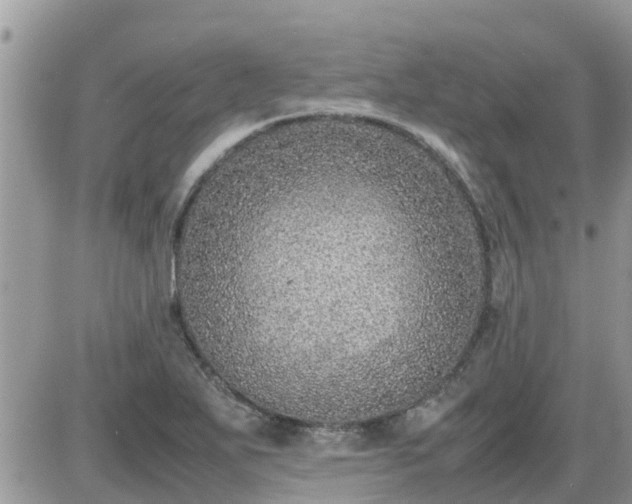 X0000087601271200705041525