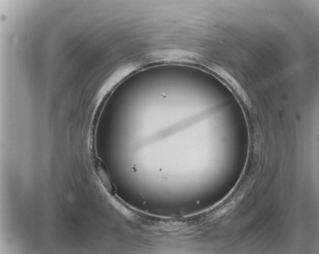 X0000087601285200705041525