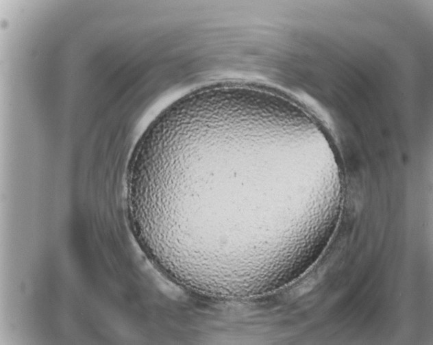 X0000087601287200705041525