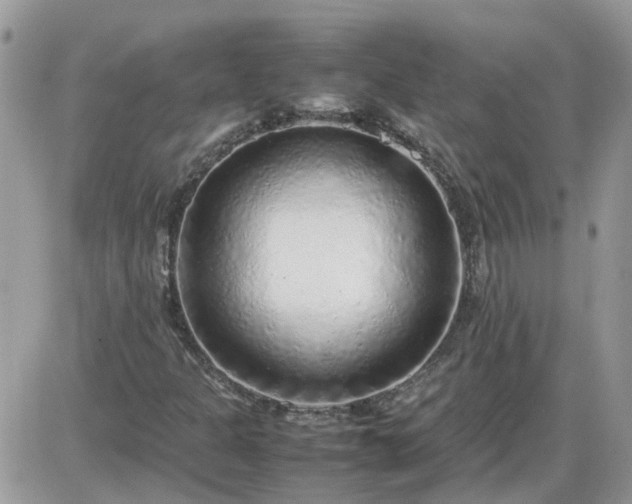 X0000087601301200705041524