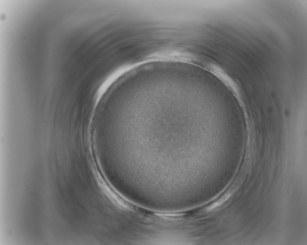 X0000087601344200705041524