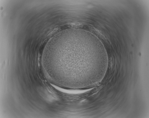X0000087601346200705041524