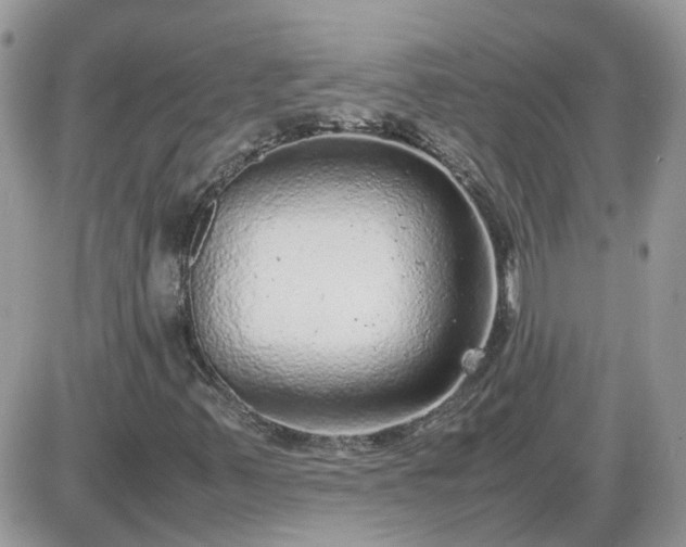 X0000087601347200705041524