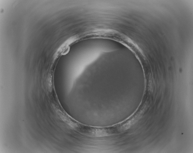 X0000087601362200705041523