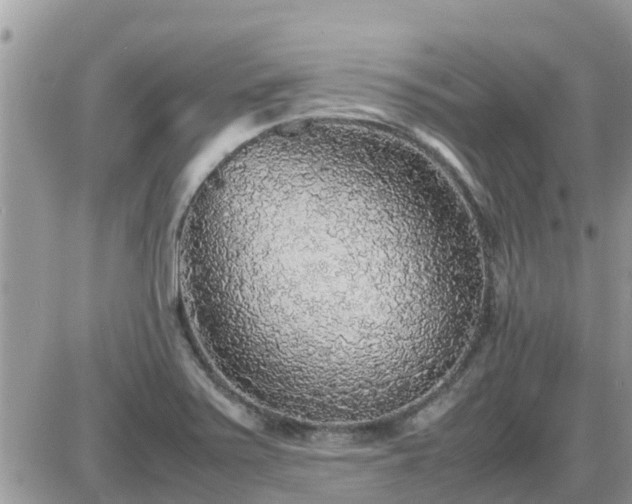 X0000087601371200705041523