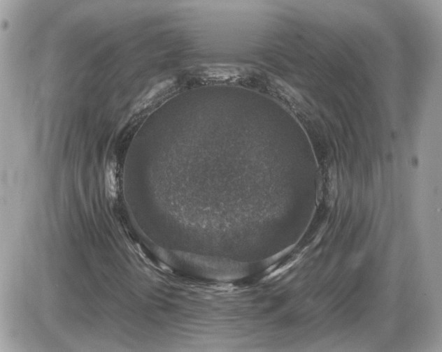 X0000087601394200705041522