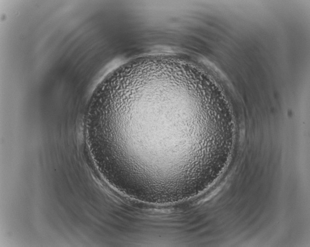X0000087601409200705041522