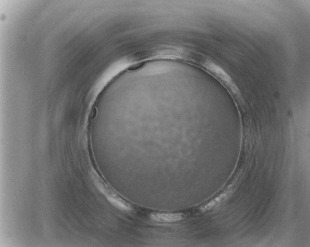 X0000087601427200705041523