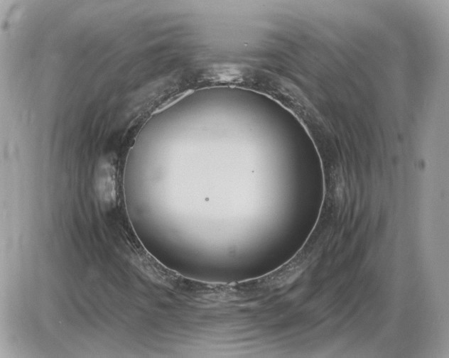 X0000087601442200705041522