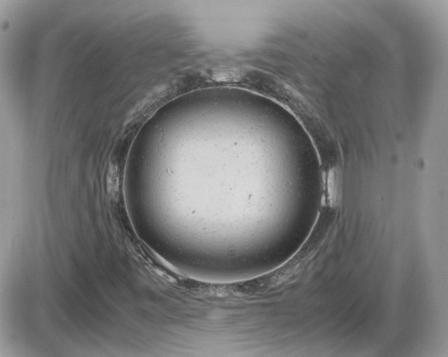 X0000087601443200705041522
