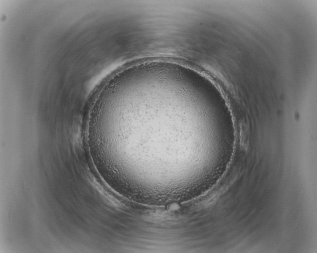 X0000087601452200705041522