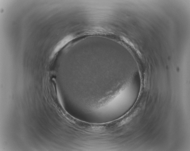 X0000087601453200705041522