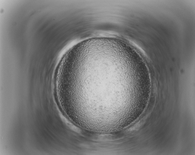 X0000087601471200705041522