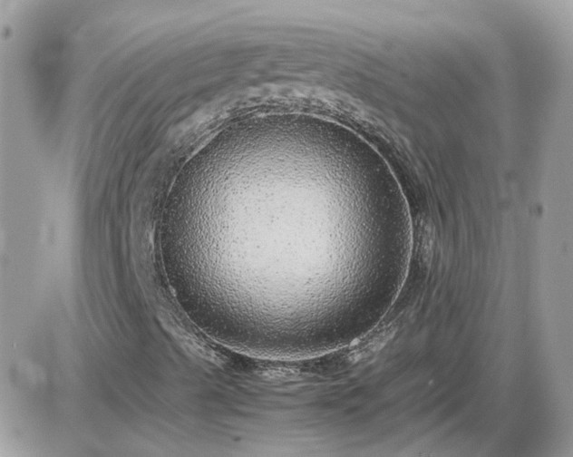 X0000087601489200705041521