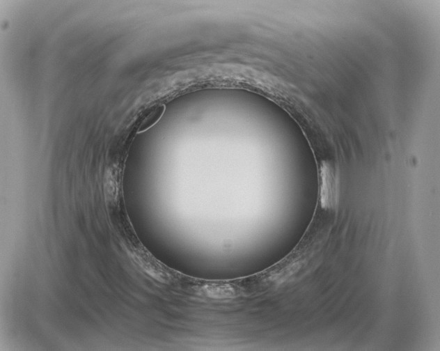 X0000087601491200705041521
