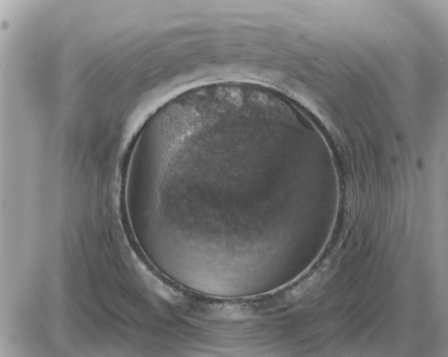 X0000087601508200705041521
